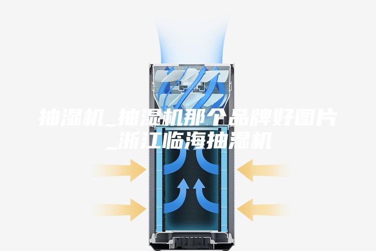 抽湿机_抽湿机那个品牌好图片_浙江临海抽湿机