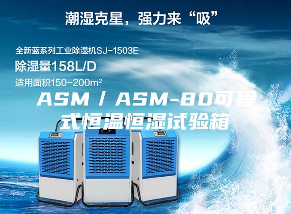 ASM／ASM-80可程式恒温恒湿试验箱