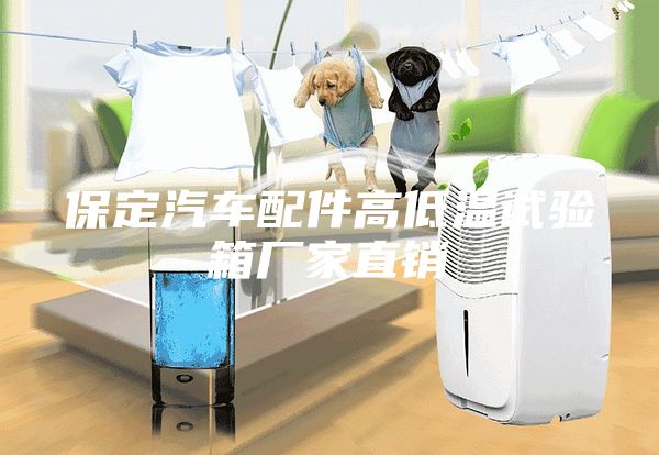 保定汽车配件高低温试验箱厂家直销