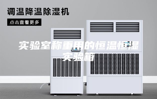 实验室称重用的恒温恒湿实验箱