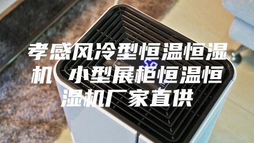 孝感风冷型恒温恒湿机 小型展柜恒温恒湿机厂家直供