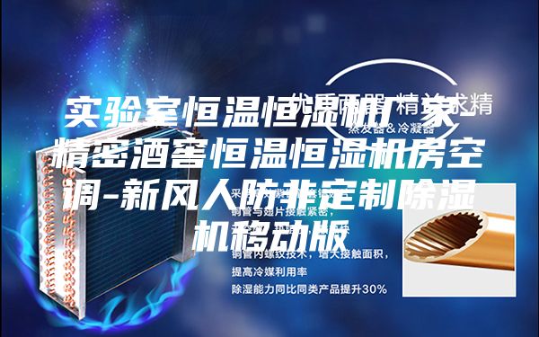 实验室恒温恒湿机厂家-精密酒窖恒温恒湿机房空调-新风人防非定制除湿机移动版