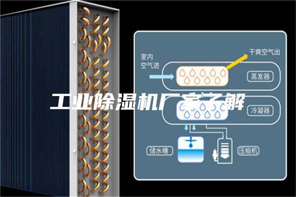 工业除湿机厂家了解