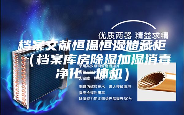 档案文献恒温恒湿储藏柜（档案库房除湿加湿消毒净化一体机）