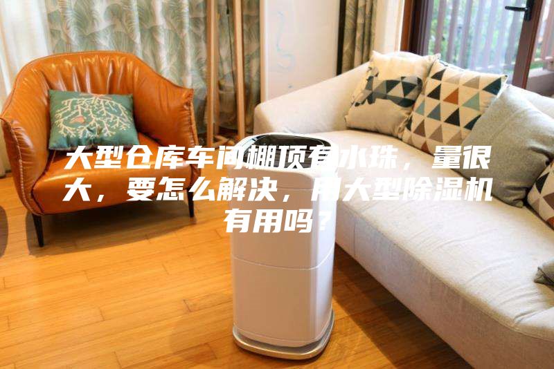 大型仓库车间棚顶有水珠，量很大，要怎么解决，用大型除湿机有用吗？