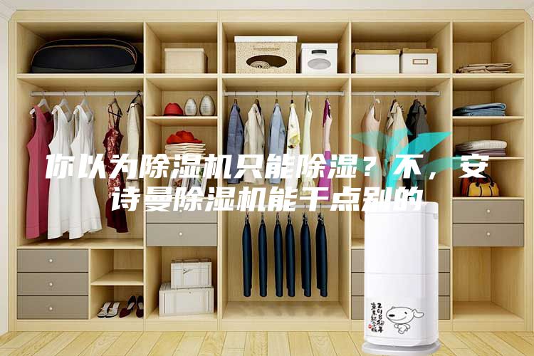 你以为除湿机只能除湿？不，安诗曼除湿机能干点别的