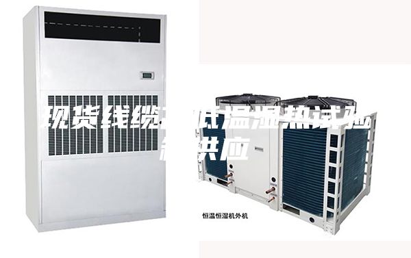 现货线缆高低温湿热试验箱供应