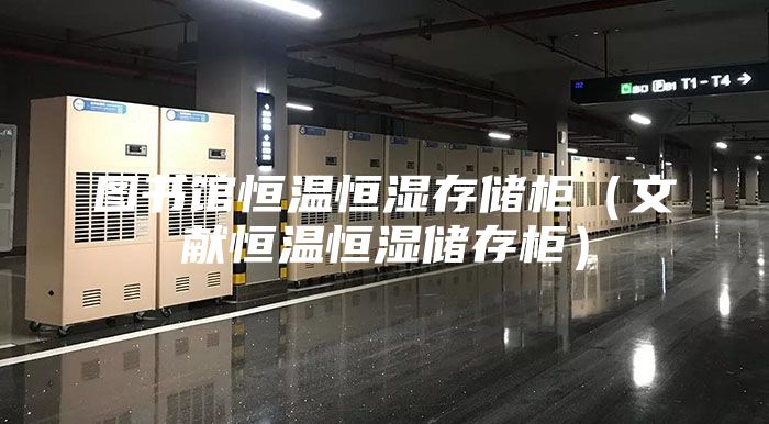 图书馆恒温恒湿存储柜（文献恒温恒湿储存柜）