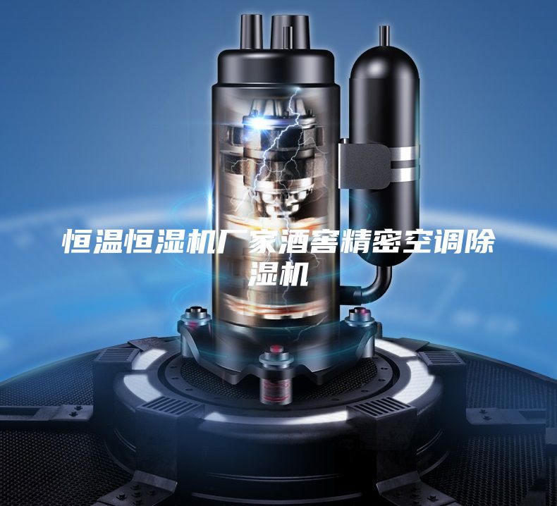 恒温恒湿机厂家酒窖精密空调除湿机