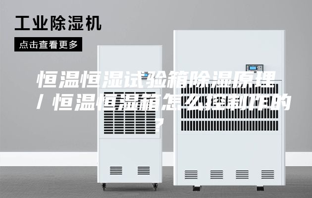 恒温恒湿试验箱除湿原理／恒温恒湿箱怎么控制作的？