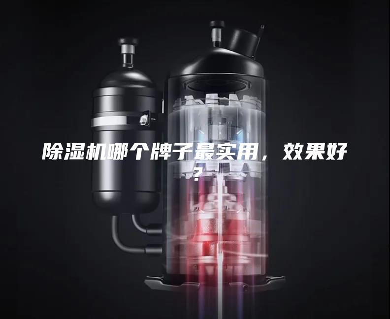 除湿机哪个牌子最实用，效果好？