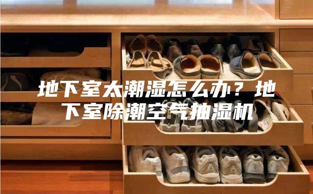地下室太潮湿怎么办？地下室除潮空气抽湿机