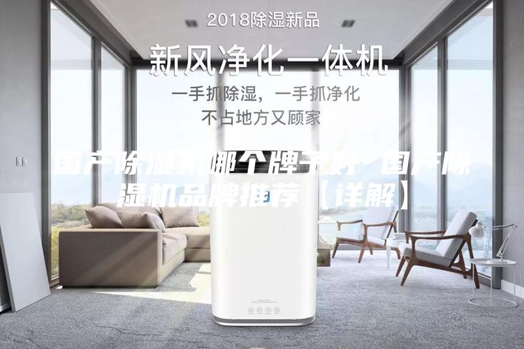 国产除湿机哪个牌子好 国产除湿机品牌推荐【详解】