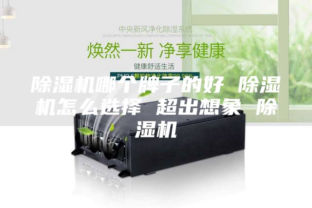 除湿机哪个牌子的好 除湿机怎么选择 超出想象 除湿机