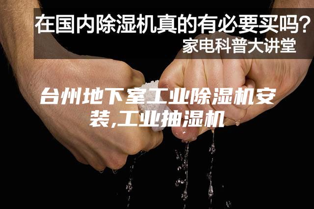 台州地下室工业除湿机安装,工业抽湿机