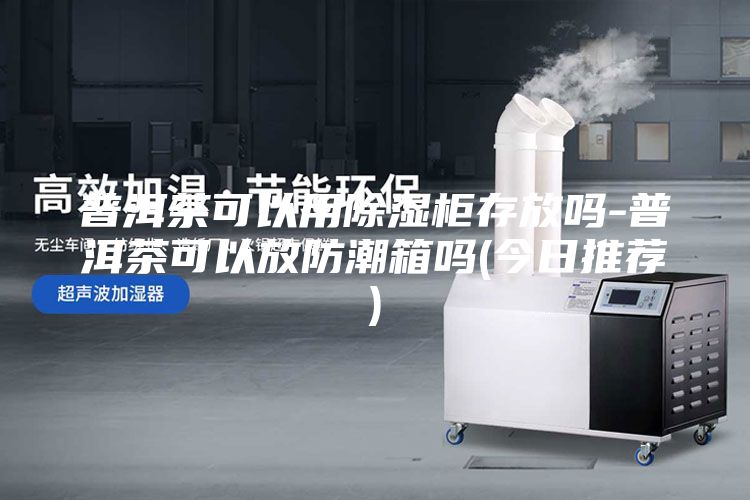 普洱茶可以用除湿柜存放吗-普洱茶可以放防潮箱吗(今日推荐)
