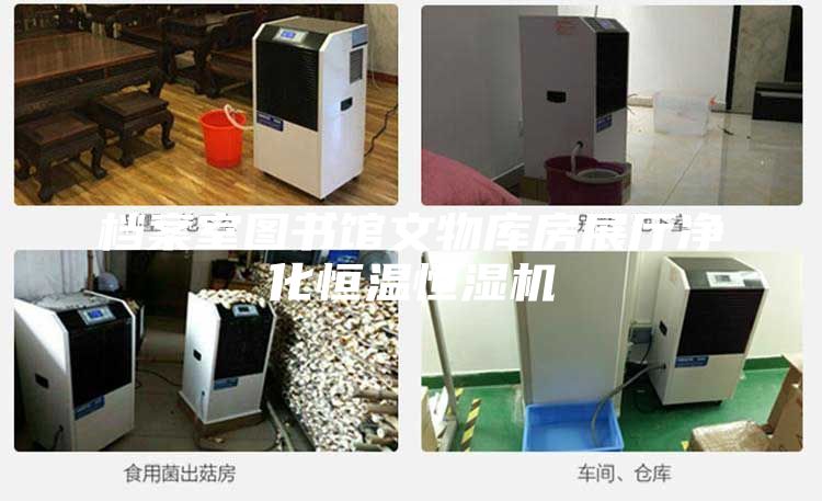档案室图书馆文物库房展厅净化恒温恒湿机