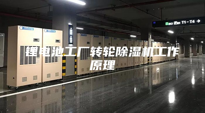 锂电池工厂转轮除湿机工作原理
