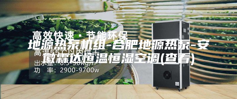 地源热泵机组-合肥地源热泵-安徽霖达恒温恒湿空调(查看)