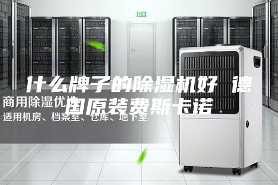 什么牌子的除湿机好 德国原装费斯卡诺