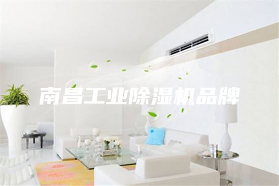 南昌工业除湿机品牌