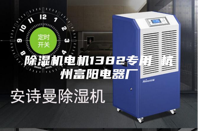 除湿机电机1382专用 杭州富阳电器厂