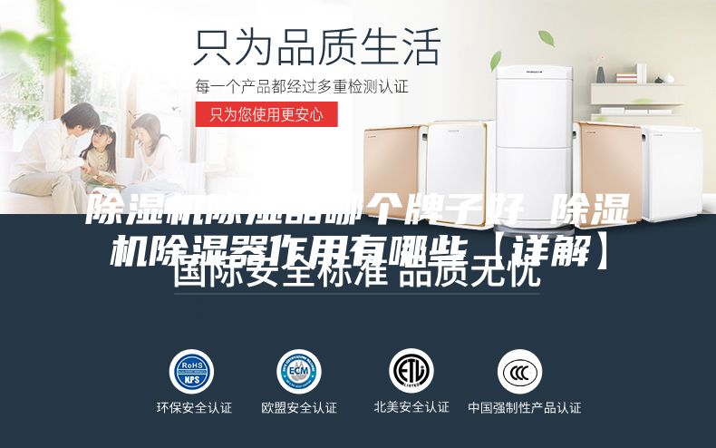 除湿机除湿器哪个牌子好 除湿机除湿器作用有哪些【详解】