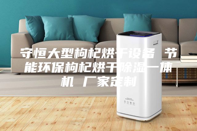 守恒大型枸杞烘干设备 节能环保枸杞烘干除湿一体机 厂家定制
