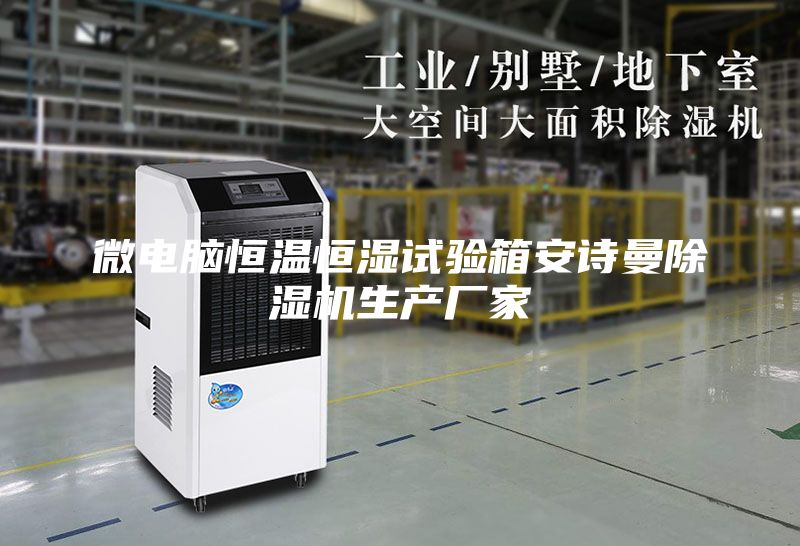 微电脑恒温恒湿试验箱安诗曼除湿机生产厂家