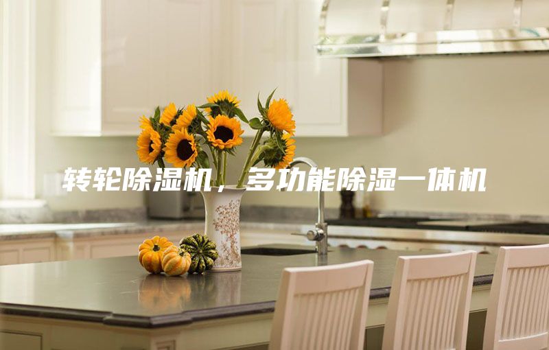转轮除湿机，多功能除湿一体机