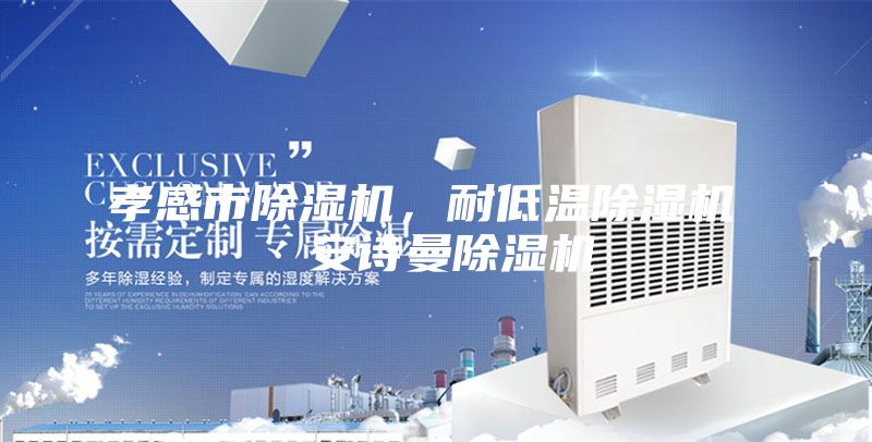 孝感市除湿机，耐低温除湿机  安诗曼除湿机