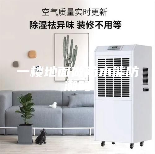一楼地面做防水能防潮吗