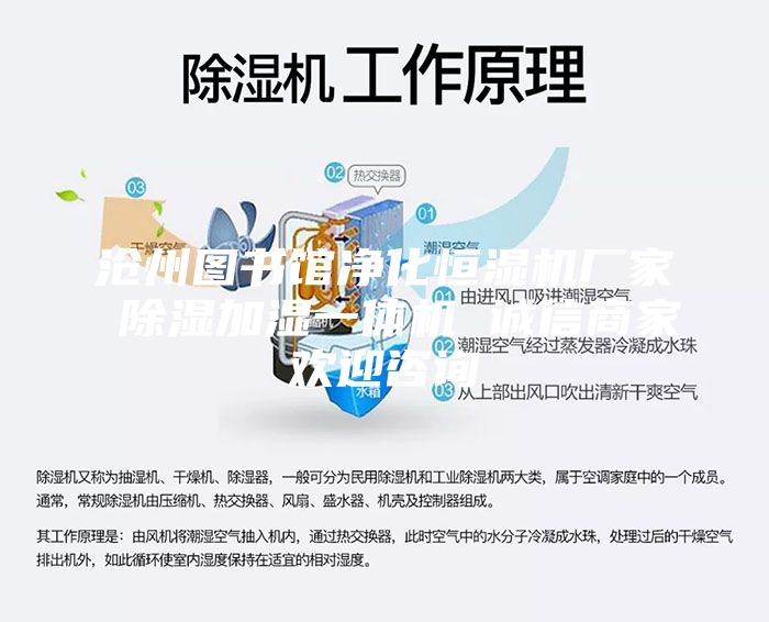 沧州图书馆净化恒湿机厂家 除湿加湿一体机 诚信商家欢迎咨询