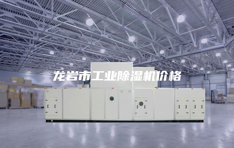 龙岩市工业除湿机价格