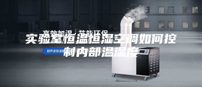 实验室恒温恒湿空调如何控制内部温湿度
