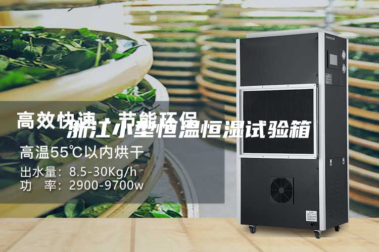浙江小型恒温恒湿试验箱