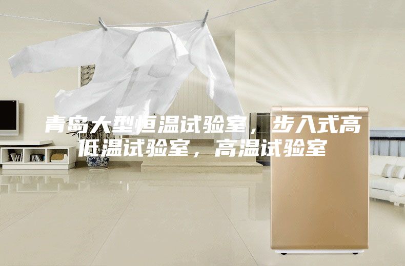 青岛大型恒温试验室，步入式高低温试验室，高温试验室