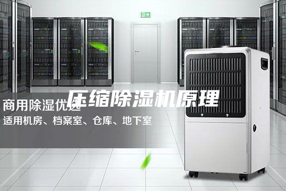 压缩除湿机原理