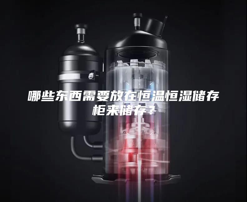 哪些东西需要放在恒温恒湿储存柜来储存？