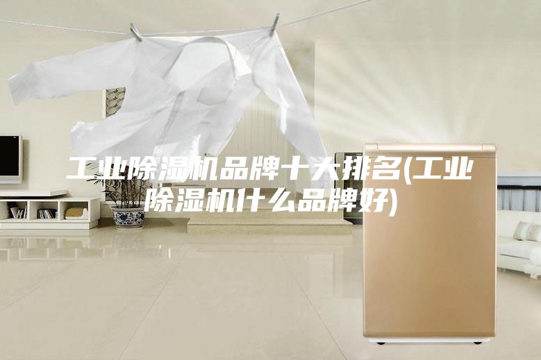 工业除湿机品牌十大排名(工业除湿机什么品牌好)