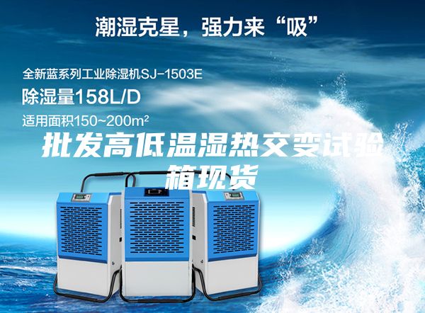 批发高低温湿热交变试验箱现货