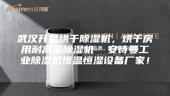 武汉升温烘干除湿机，烘干房用耐高温除湿机  安诗曼工业除湿机恒温恒湿设备厂家！