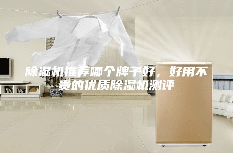 除湿机推荐哪个牌子好，好用不贵的优质除湿机测评