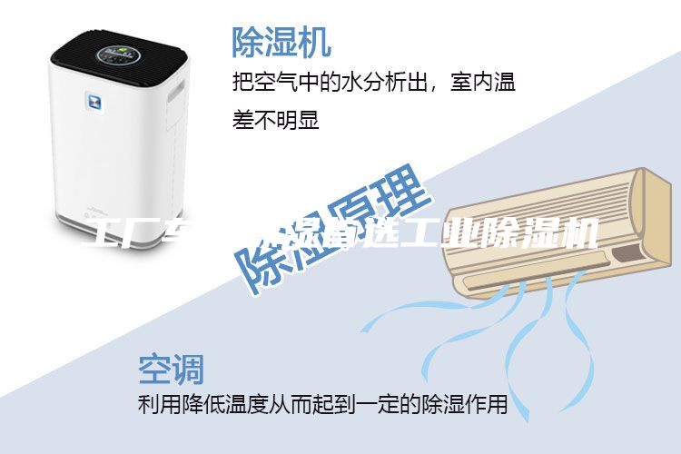 工厂车间除湿首选工业除湿机