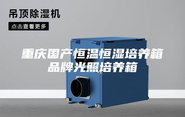 重庆国产恒温恒湿培养箱品牌光照培养箱