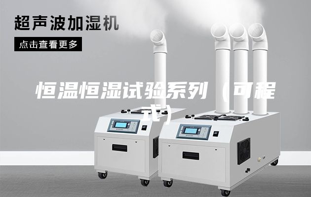 恒温恒湿试验系列（可程式）