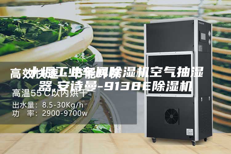 十堰工业车间除湿机空气抽湿器,安诗曼-9138E除湿机