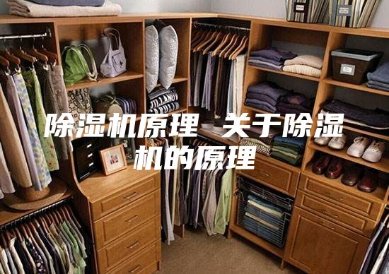 除湿机原理 关于除湿机的原理