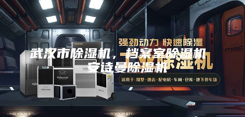 武汉市除湿机，档案室除湿机  安诗曼除湿机