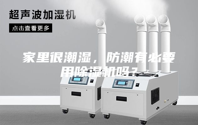家里很潮湿，防潮有必要用除湿机吗？